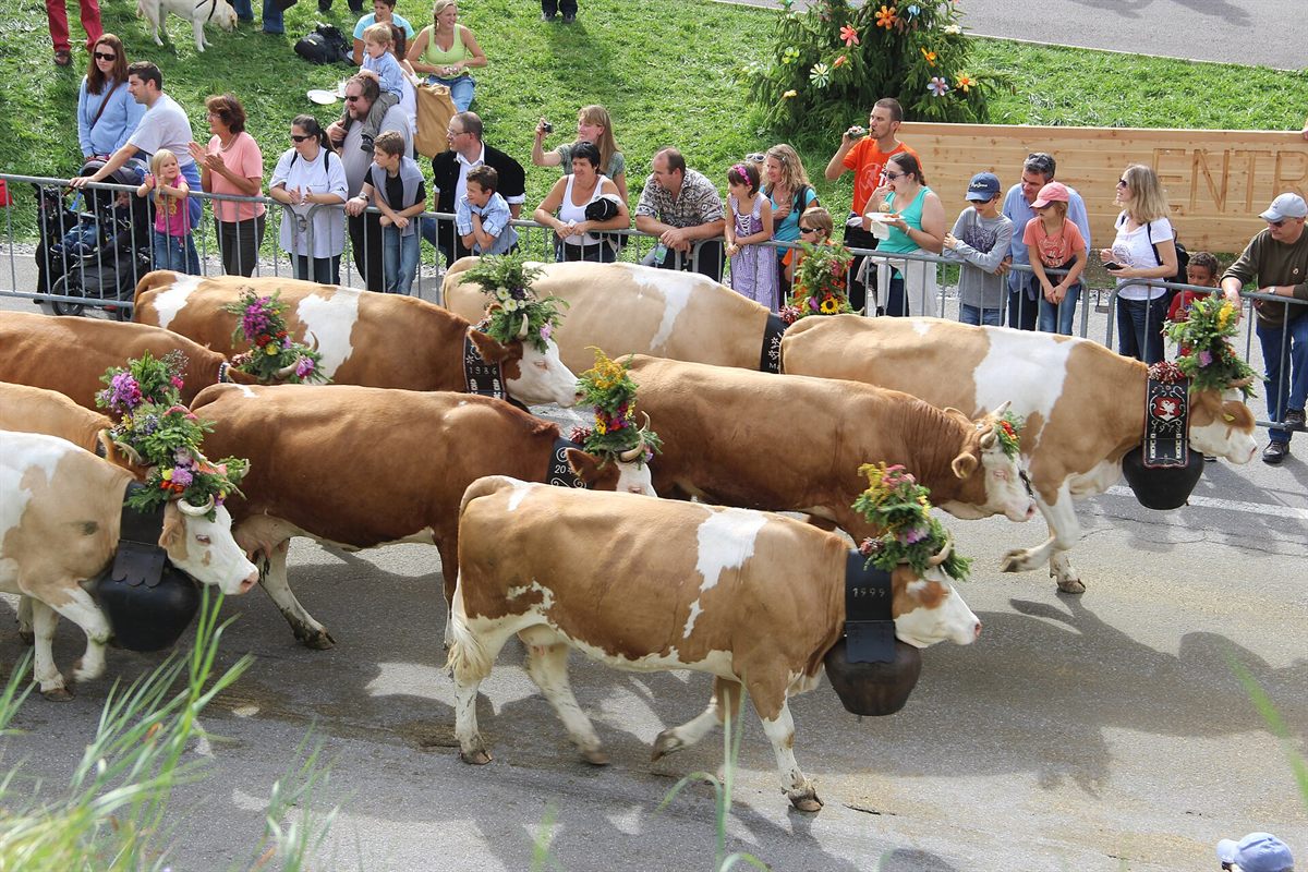 Swiss Désalpe weekend
